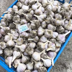 Продам
