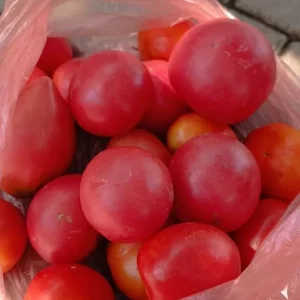 Продам домашние огурцы 1,5 кг и помидоры 1,5 кг по 200 руб/ кг.