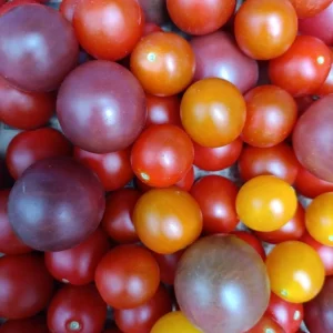 Продаю помидоры черри, в наличии 4кг, цена 250₽ за кг, г Донецк телефон+79495195138