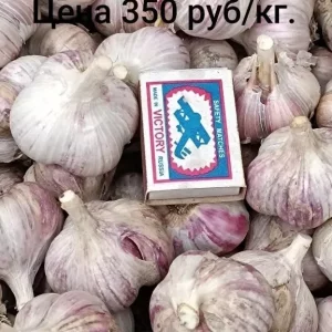 Продам чеснок.