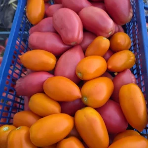 Продам домашние помидоры 🍅