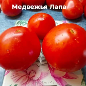 photo_2026-01-17_18-54-21